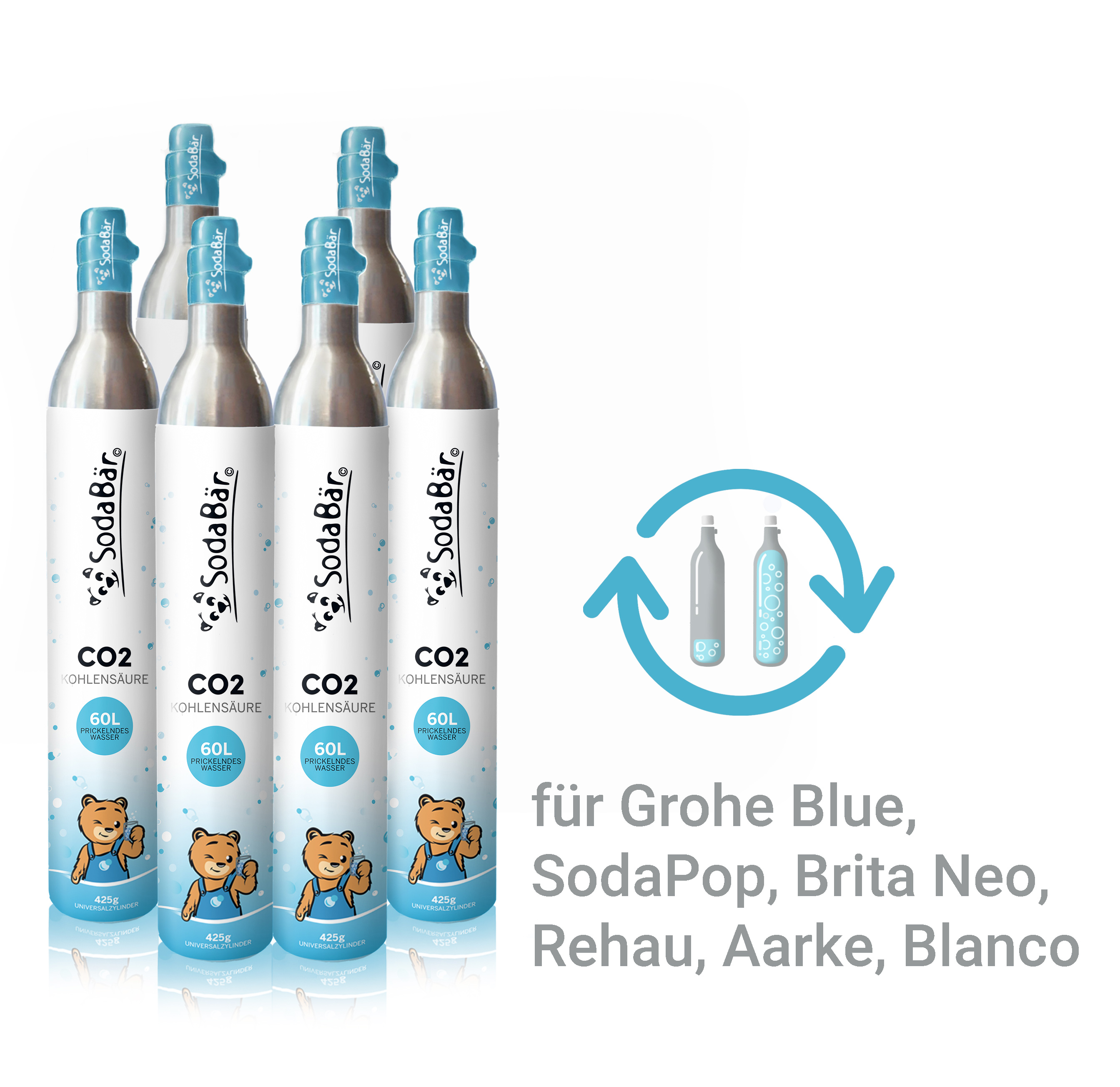 Homewit CO2 Zylinder f/ür bis zu 60 L Sprudelwasser geeignet f/ür SodaStream Wassersprudler Erstbef/üllt in Deutschland Aarke und MySodaPop usw. F/üllung 425g